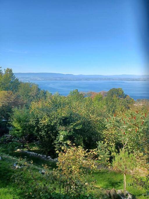 Appartement de vacances pour 4 personnes, avec jardin et vue ainsi que vue sur le lac et terrasse, animaux acceptés - 1
