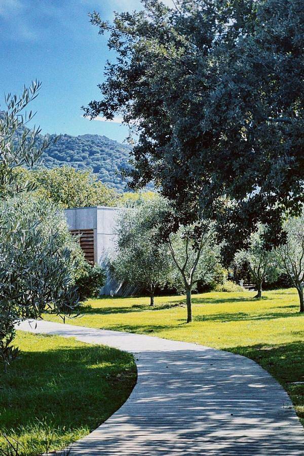 Gîte pour 4 personnes, avec jardin ainsi que piscine et vue dans Pigna - 4