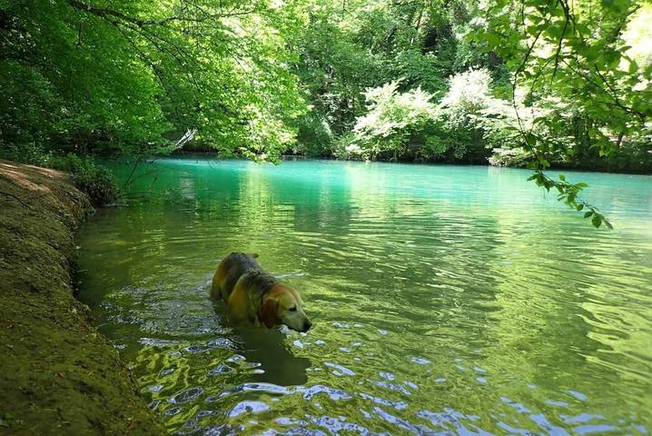 Location de vacances pour 4 personnes, avec jardin et vue à Mayrinhac-Lentour - 4