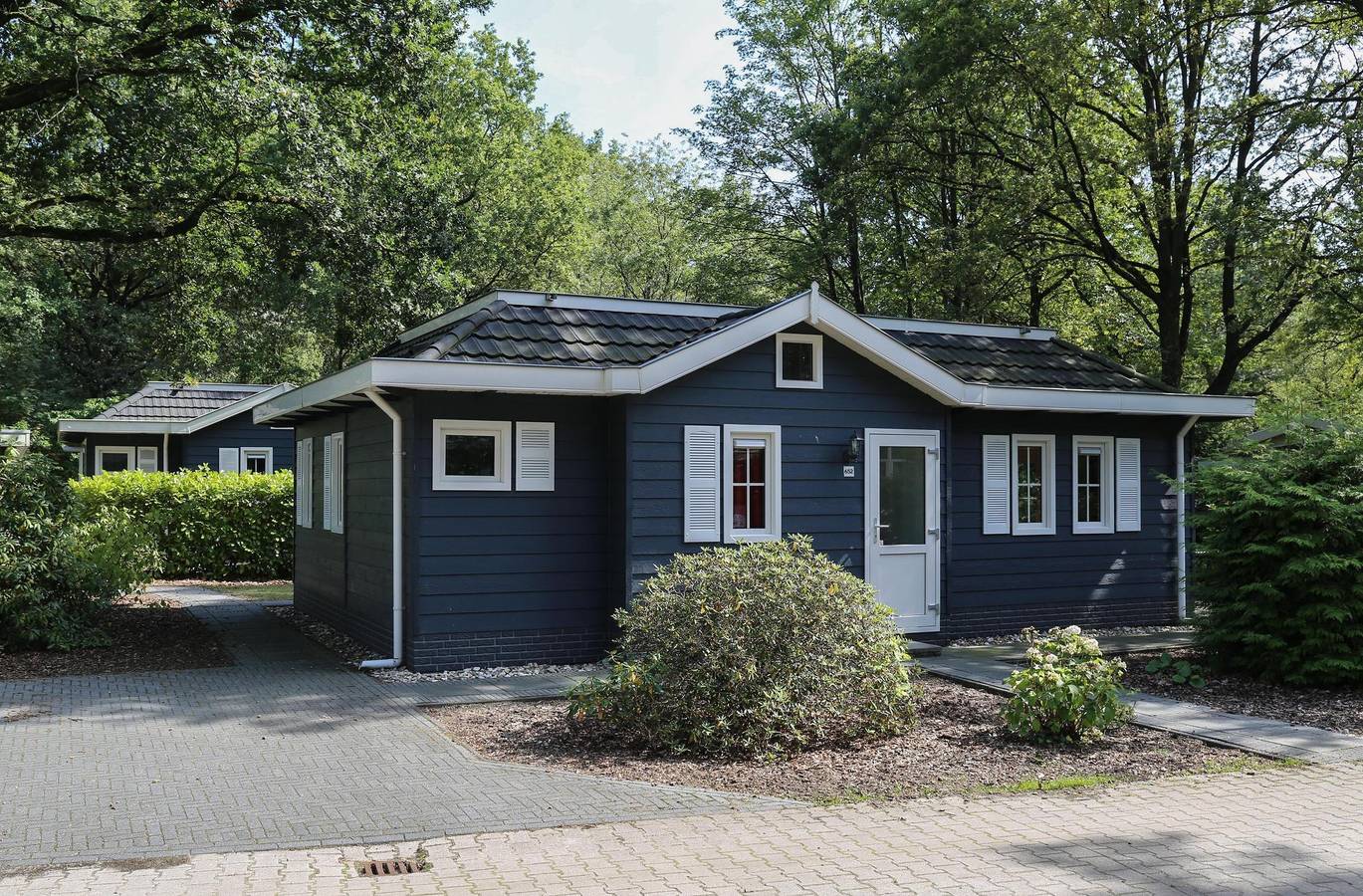 Landgoed Het Grote Zand — Dotterbloem Chalet | 6 personen in Hooghalen, Drenthe