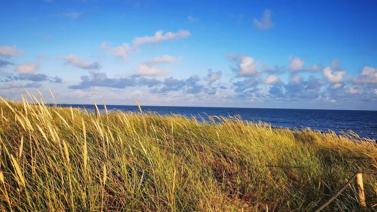 Ferienhaus für 8 Personen (134 m²) in Blåvand in Blavand, Varde