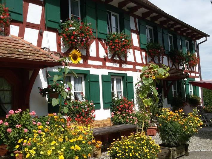 Wohnung in Owingen mit Schwimmbecken in Owingen, Region Bodensee-Oberschwaben