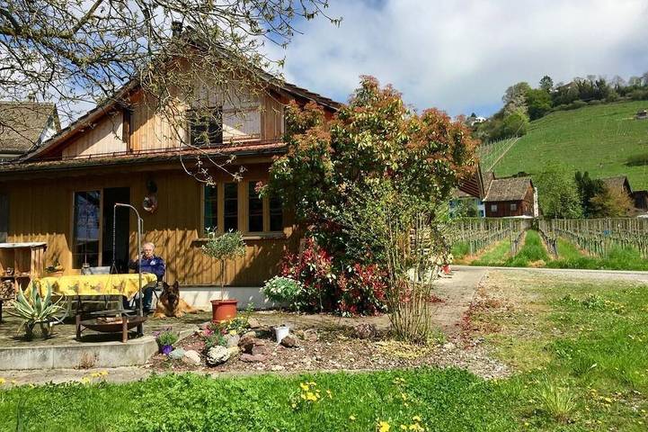 Ferienhaus für 5 Personen, mit Garten in Kanton Zürich