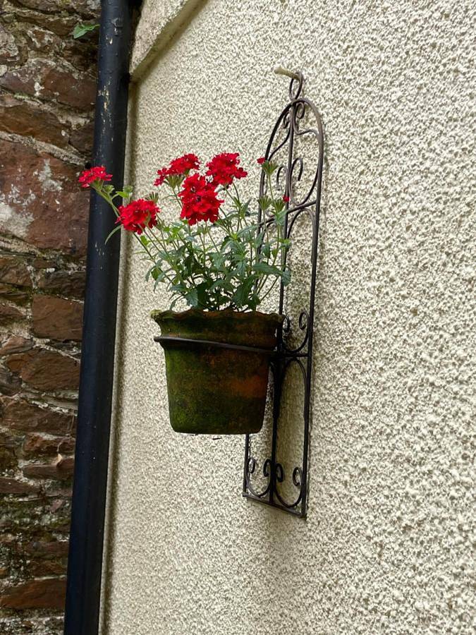 Entire apartment, One-Bedroom Apartment in Totnes, Devon