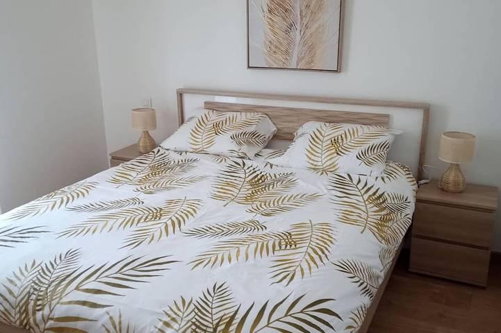 Gîte pour 4 personnes, avec Terrasse et Jardin à Puyoô - 3