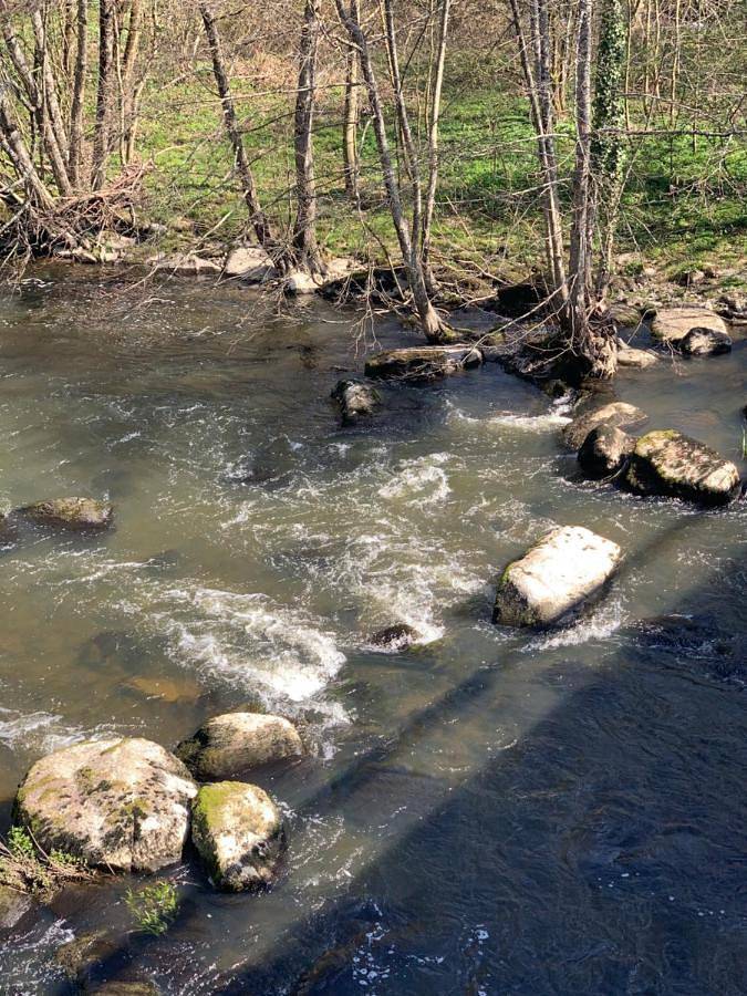 Location de vacances pour 12 personnes, avec sauna ainsi que terrasse et jacuzzi à Mortagne-sur-Sèvre - 4