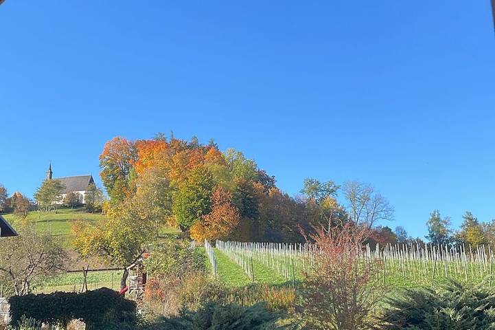 Ferienwohnung für 4 Personen in Bad Schallerbach