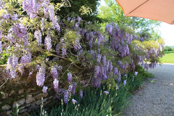Maison d’hôte pour 2 personnes, avec terrasse et jardin à Brandon - 4