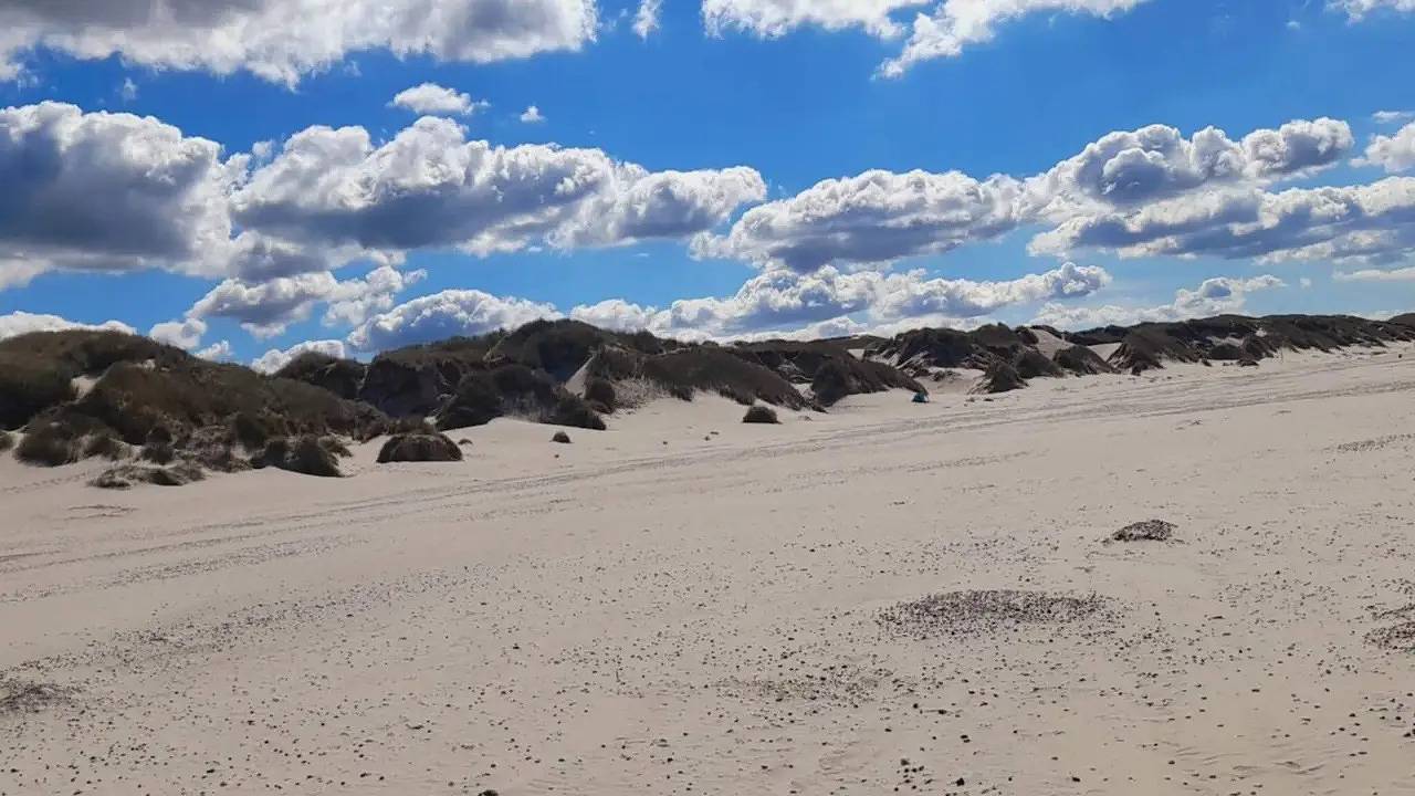Feriehus for 9 personer med terrasse in Henne, Varde (Danmark)