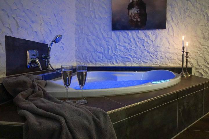 Ferienhaus für 10 Personen, mit Garten und Pool sowie Whirlpool und Sauna in Elbe-Weser - 4