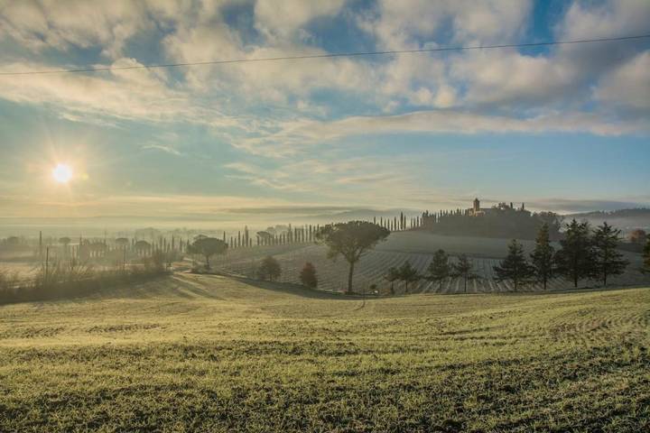 Agriturismo per 3 persone, con Terrazza e Giardino nonché Piscina e Panorama a Buonconvento