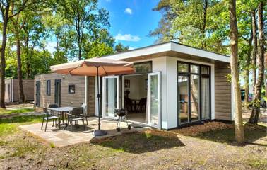 Ferienhaus für 4 Personen, mit Terrasse und Garten, mit Haustier in Overijssel