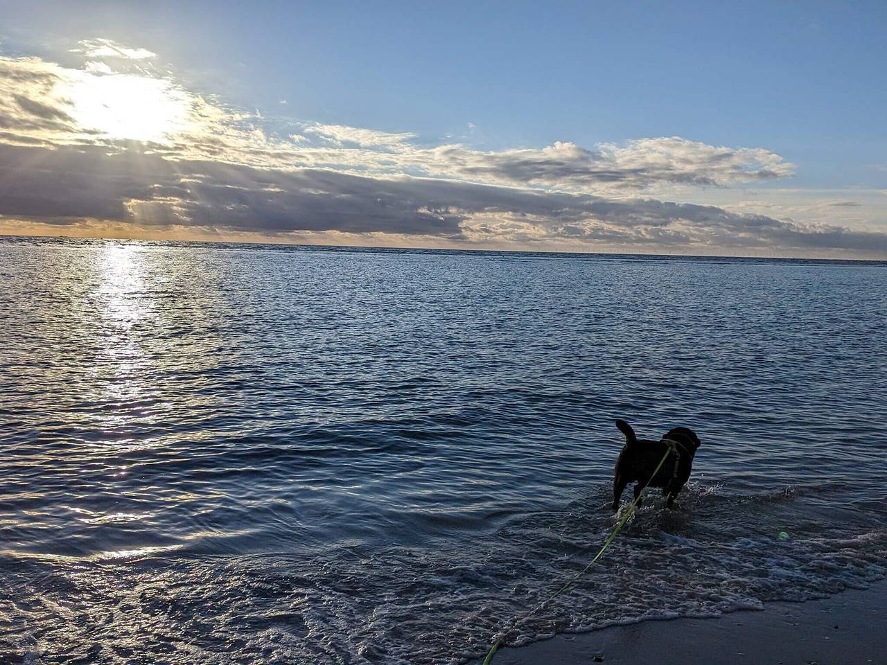 4 Personen Ferienhaus in Blåvand in Blavand, Varde
