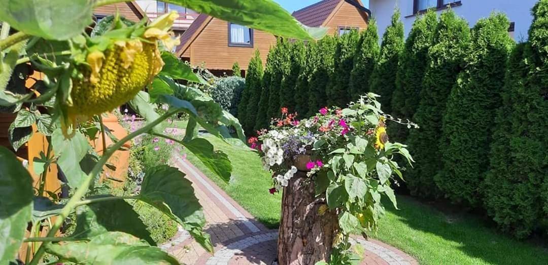 Domki Blanka Jastarnia in Jastarnia, Zatoka Gdańska