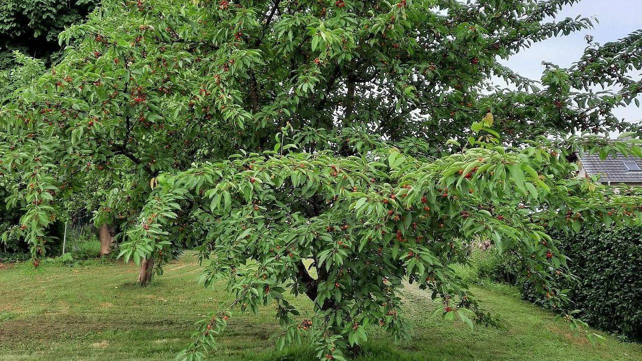 Ganze Ferienwohnung, Ferienwohnung für 4 Personen (140 m²) in Perl in Perl, Saar-Nahe-Bergland