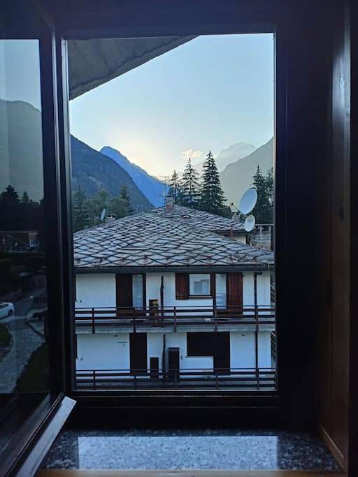 Appartamento vacanze per 4 persone, con panorama, con animali domestici - 1