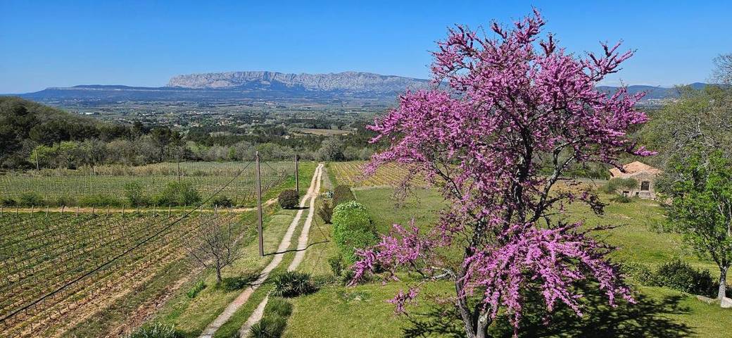 Appartement de vacances pour 2 personnes, avec Terrasse ainsi que Jardin et Vue à Trets