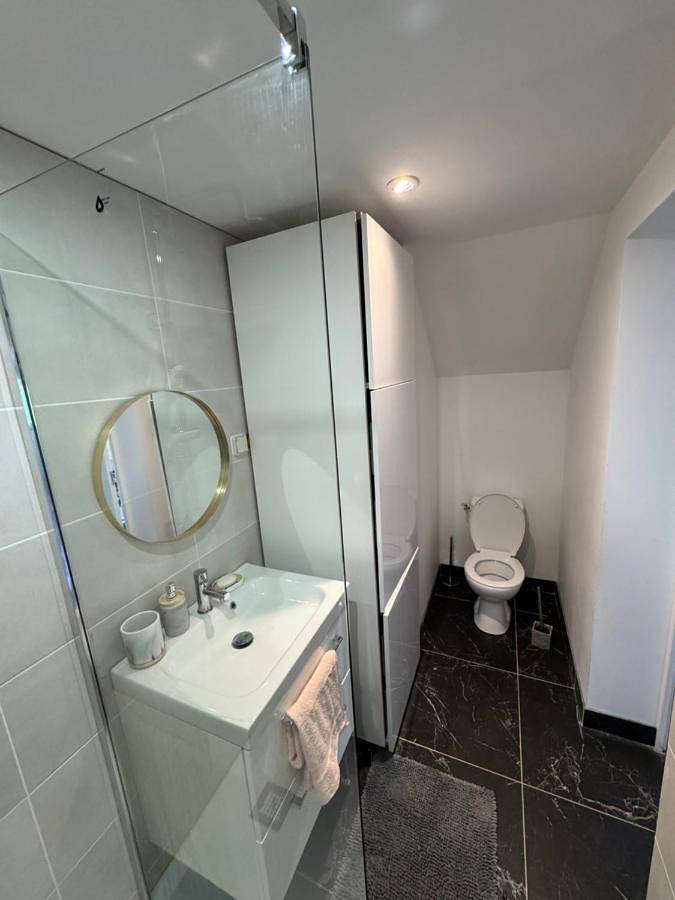 Gîte pour 3 personnes, avec terrasse ainsi que jardin et vue à Épagny - 4