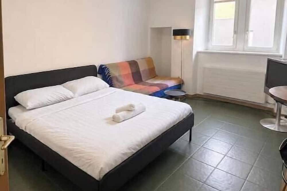 Ganze Wohnung, Zentral & kühl an der Kathedrale in Villars-les-Joncs, Freiburg im Üechtland