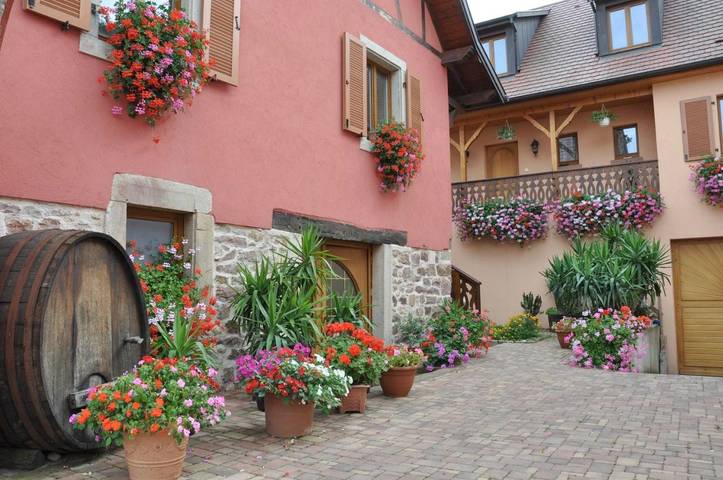 Gîte pour 7 personnes, avec terrasse et vue à Vœgtlinshoffen - 2