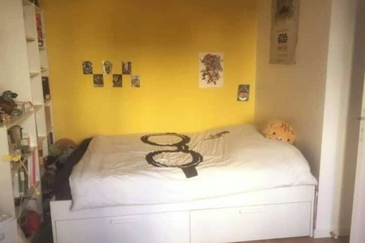 Location de vacances pour 9 personnes, avec jardin à Vanves - 2