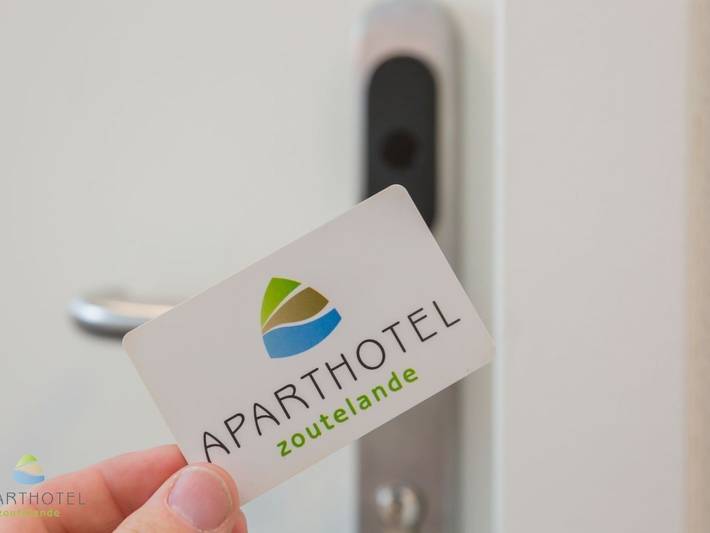 Ferienhaus für 6 Personen, mit Terrasse, mit Haustier in Zoutelande - 4