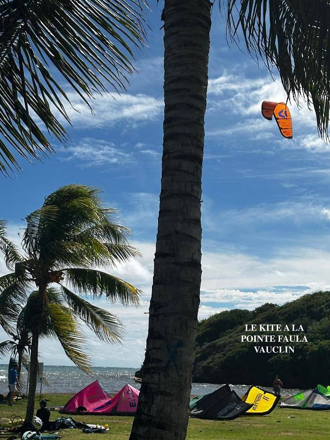 Location de vacances pour 8 personnes, avec vue ainsi que jardin et piscine, animaux acceptés dans Pointe Faula - 4