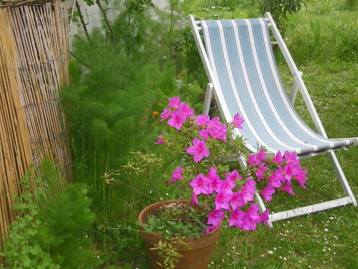 Chambre d’hôte pour 3 personnes, avec vue et jardin dans Veuzain-sur-Loire - 4