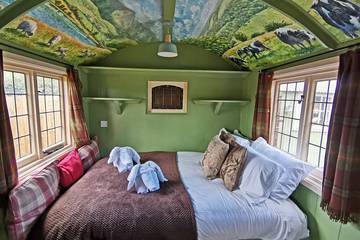 Glamping for 2 People in Wiltshire, South West England, Photo 4