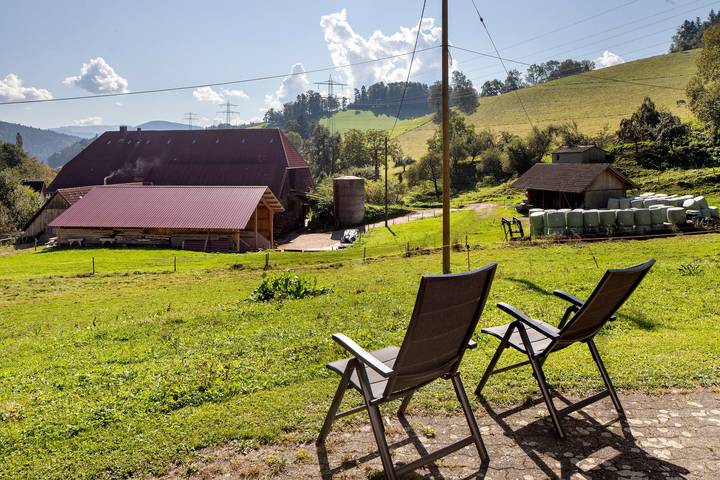 Ganze Wohnung, Hinterbauernhof Eschbach 'Ferienwohnung Pferdeglück' in Stegen, Südschwarzwald
