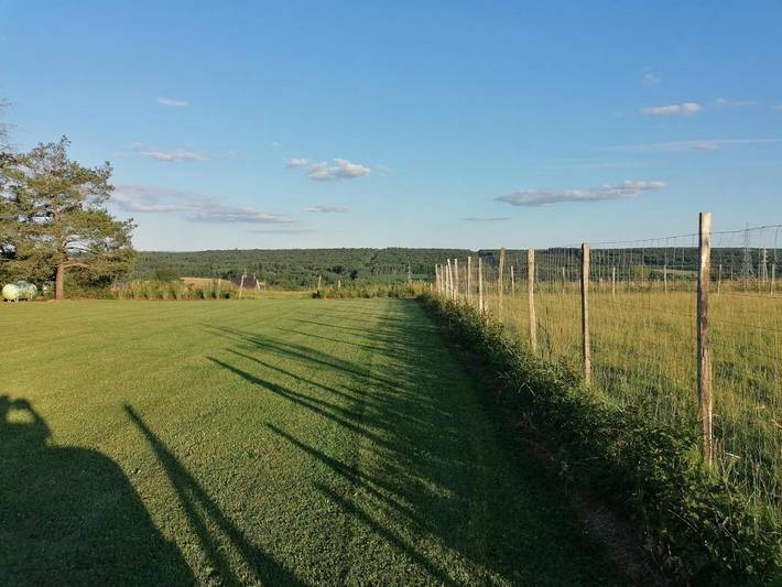 Location de vacances pour 8 personnes, avec vue et jardin, animaux acceptés à Rochefort (Wallonie) - 3