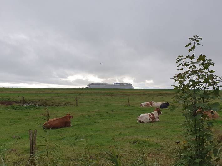 Ferienwohnung für 4 Personen, mit Garten in Emden - 3