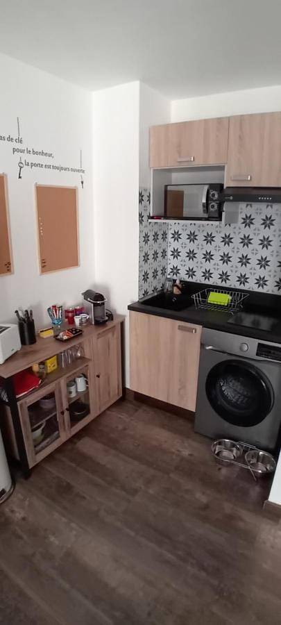 Gîte pour 4 personnes, avec vue et vue sur le lac, animaux acceptés à Thyez - 4