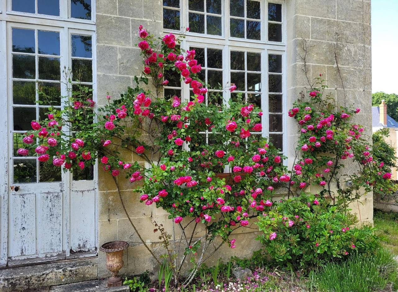 Chambres d'hôtes au Castel Saint Laurent - Chambre rose in Langeais, Vallée de la Loire