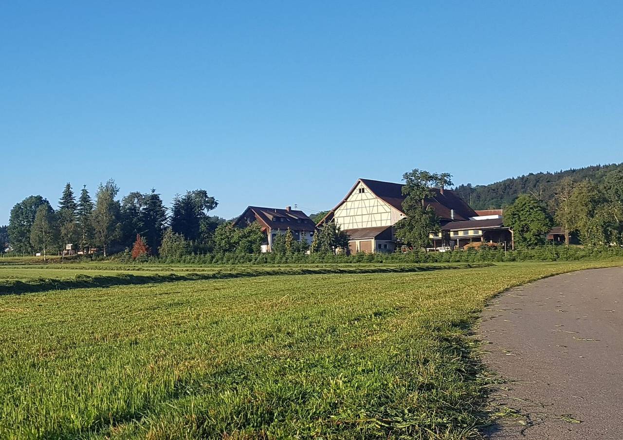 Ganze Wohnung, Ferienwohnung 'Riedblick' mit Gemeinschaftsterrasse, Gemeinschaftsgarten und Wi-Fi: in Wilhelmsdorf, Region Bodensee-Oberschwaben