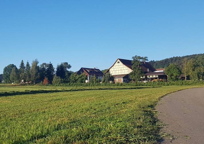 Geheel appartement, Vakantiewoning 'Riedblick' met gemeenschappelijk terras, tuin en wifi in Wilhelmsdorf, Region Bodensee-Oberschwaben