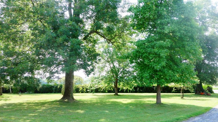 Location de vacances pour 12 personnes, avec jardin et balcon en Pyrénées-Atlantiques - 3