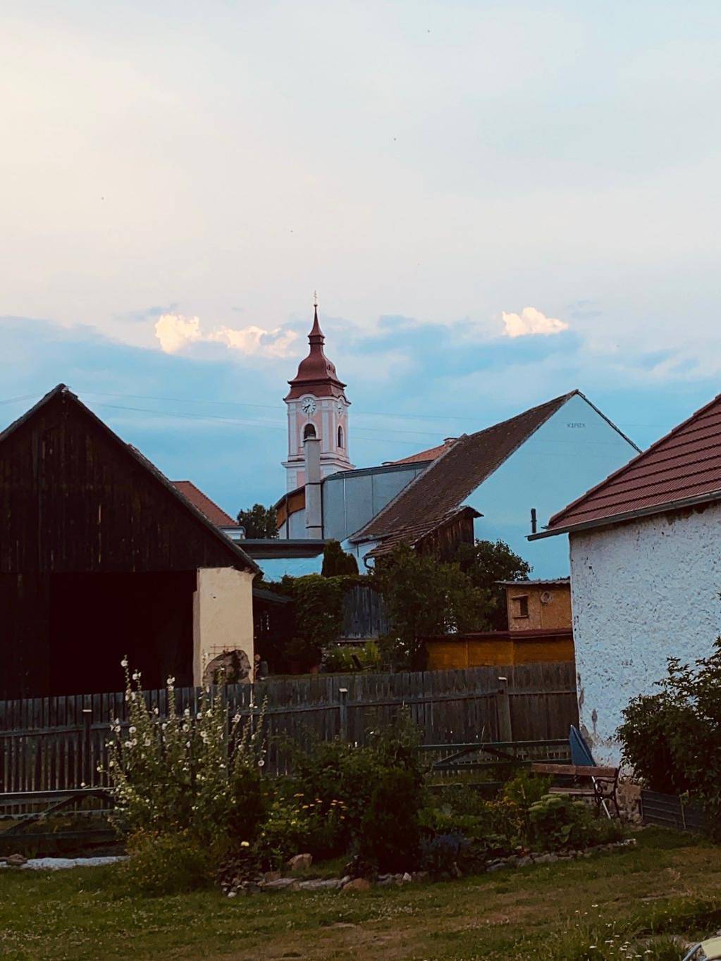 Sonnenhof Wildkatta Frühstückspension - Dietrich - der Herrscher in Raabs an der Thaya, Waldviertel