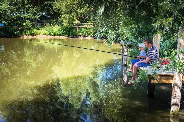 Gîte pour 6 personnes, avec piscine à Brissac-Quincé - 4