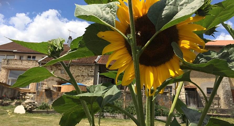 Chambre d’hôte pour 5 personnes, avec Jacuzzi et Jardin dans les Vosges