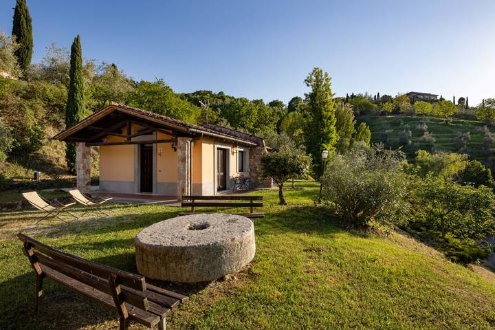 Appartamento intero, Il Poggio Degli Olivi  Superior 2-room 4 in Bettona, Perugia e dintorni