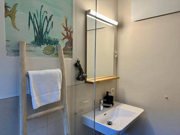 Chambre d’hôte pour 2 personnes, avec jardin et vue, animaux acceptés à Ascona - 3