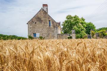 Gîte pour 8 personnes, avec vue ainsi que jardin et piscine à Crouzilles