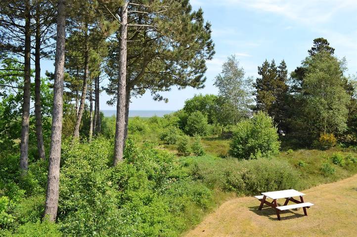 Ferienwohnung für 4 Personen, mit Terrasse, mit Haustier auf Rømø - 2