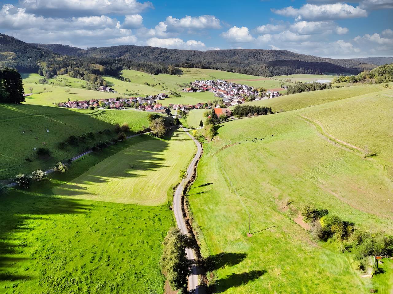 Ganze Wohnung, Ferienwohnung Kirschblüte - Laulisgraben Hideaway Tm in Schuttertal, Mittlerer Schwarzwald