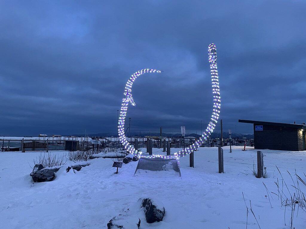 Blick aufs Meer-Private 2 Bedroom-Cottage-Eigenes Badezimmer in Kenai Peninsula