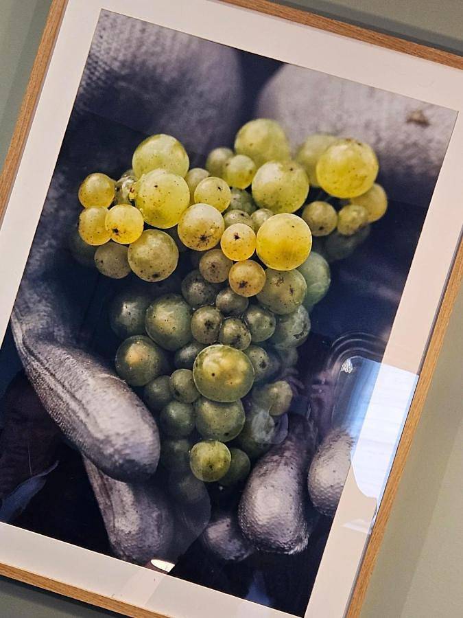 Gîte pour 4 personnes, avec terrasse à Thoré-la-Rochette - 3