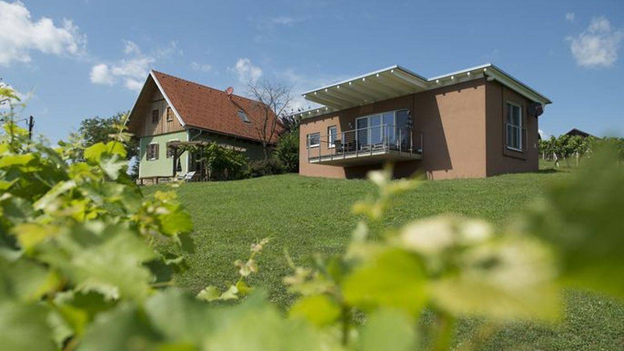Ferienhaus für 5 Personen (60 m²) in Fehring in Südoststeiermark, Fehring