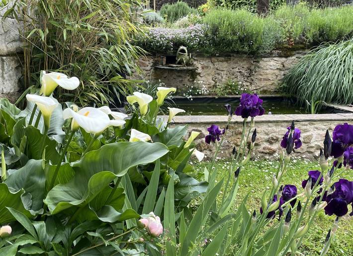 Chambre d’hôte pour 2 personnes, avec piscine et jardin dans les Pays de la Loire - 3