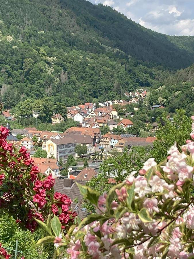 Ganze Wohnung, Ferienwohnung mit Weitblick in Lambrecht, Saar-Nahe-Bergland